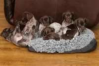 processed/0bfd7092-f1ed-4060-8d36-cd33b570c065/facility/6e34157e-cf4e-416a-a886-84884b9c53a8