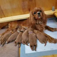 processed/0bfd7092-f1ed-4060-8d36-cd33b570c065/facility/720f99e9-8cb0-4b5c-8e6f-cc0525a22d91