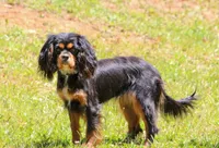 processed/0bfd7092-f1ed-4060-8d36-cd33b570c065/facility/9ff7be21-2759-4d4f-b7c1-8b38432dfc2e