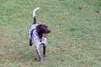 processed/0bfd7092-f1ed-4060-8d36-cd33b570c065/facility/bef13ba2-07c9-44d4-b88d-edc397795390