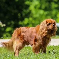 processed/0bfd7092-f1ed-4060-8d36-cd33b570c065/facility/c20cda70-b1c6-4f55-bbd4-0fcaece3d9c9