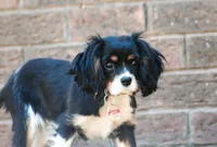 processed/0bfd7092-f1ed-4060-8d36-cd33b570c065/facility/ce874184-eb96-4445-971c-3bb73e77b21e