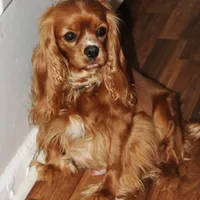 processed/0bfd7092-f1ed-4060-8d36-cd33b570c065/facility/dd8698c9-ed8b-411d-84a9-c0beec586af2