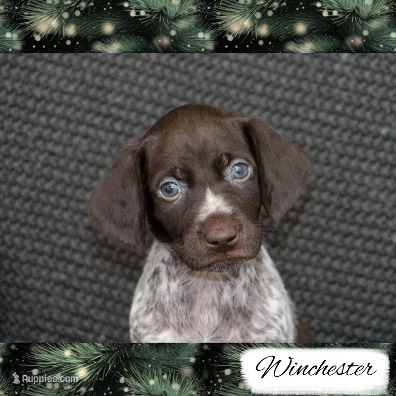 Spoken For: Winchester