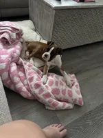 processed/0c0c1255-0e3e-4d9c-be7b-c52e21c94c2d/listing/6fa1b410-fc9d-4cf1-948c-6f7faddb8816/3d166a5a-7fb0-4ecf-afea-ea43bdee04b5