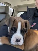 processed/0c0c1255-0e3e-4d9c-be7b-c52e21c94c2d/listing/6fa1b410-fc9d-4cf1-948c-6f7faddb8816/f1435948-f228-4e72-b8fd-7abd8cf8bfea