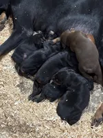 processed/0c1a4a3b-3004-41d3-b237-c452a5eec2a6/facility/d5a3b12b-51de-4d64-a4e9-291c28ad5ba6