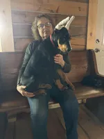 Magnun, a male Doberman Pinscher for sale in Verndale, MN – 1 of 7