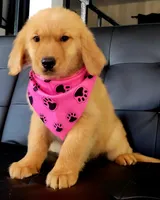 processed/0c20b39f-dde5-4e5e-a91e-2486625584cb/listing/05e92498-1da0-4e44-8a5f-4077eafda44c/2b28a59e-6db0-46ca-bf1b-7d671ae96df5