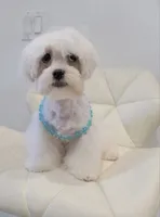 processed/0c20b39f-dde5-4e5e-a91e-2486625584cb/listing/18712579-2370-4f45-b360-4f9ff6a24dad/9e3fb783-43be-4f4e-9064-a879a2e5706c