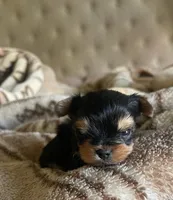 processed/0c20b39f-dde5-4e5e-a91e-2486625584cb/listing/5322aede-78c4-4a4d-b8a2-4eccd521cad8/a2ebc785-cbac-4a82-bef2-297ec765e4d8