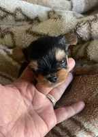 processed/0c20b39f-dde5-4e5e-a91e-2486625584cb/listing/5322aede-78c4-4a4d-b8a2-4eccd521cad8/a8a638f0-16f6-4bf9-b5fd-232a54b3ce2c