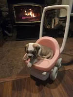 processed/0c3d3c19-d5ce-44aa-8fb2-23023ebcf14a/listing/2dc32fca-940b-4fdf-b657-e9a3b6815958/1e6cf25c-cf23-4ca6-9efd-0baaec07c208