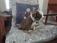 processed/0c3d3c19-d5ce-44aa-8fb2-23023ebcf14a/listing/7eb5f7d5-7b28-426d-863f-71b3371f709a/300798d0-68d5-40a4-83dd-f8f98be40f9b