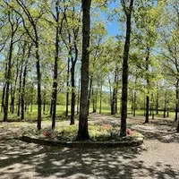 processed/0c3d916d-3e0e-40b5-b6ac-8c8a6751f8f6/facility/f7f6e7f2-b6f8-49d9-b047-79d16cdda820