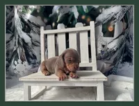 processed/0c3d916d-3e0e-40b5-b6ac-8c8a6751f8f6/listing/138353c7-a900-474d-b967-d3425f256dba/31b74c86-8fec-4936-84b2-f1d38acfb8a6