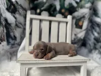 processed/0c3d916d-3e0e-40b5-b6ac-8c8a6751f8f6/listing/138353c7-a900-474d-b967-d3425f256dba/456c8a00-1716-431e-ae53-9b7a5941b0f5