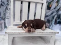 processed/0c3d916d-3e0e-40b5-b6ac-8c8a6751f8f6/listing/2c3e7be3-d7bc-4952-aa94-badcfcc232c7/15c3c6c1-2e83-4b10-92a3-2e8b298aec9d