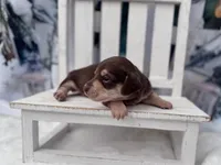 processed/0c3d916d-3e0e-40b5-b6ac-8c8a6751f8f6/listing/2c3e7be3-d7bc-4952-aa94-badcfcc232c7/29d34155-f042-4358-93b7-25e555c28600