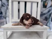 processed/0c3d916d-3e0e-40b5-b6ac-8c8a6751f8f6/listing/2c3e7be3-d7bc-4952-aa94-badcfcc232c7/99285053-a6ba-49b8-8f0b-1c53930c78c8