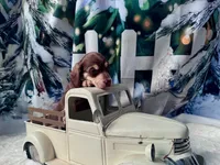 processed/0c3d916d-3e0e-40b5-b6ac-8c8a6751f8f6/listing/2c3e7be3-d7bc-4952-aa94-badcfcc232c7/a36bab09-1192-4a3c-934c-95f1af47b709