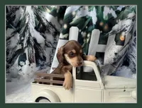 processed/0c3d916d-3e0e-40b5-b6ac-8c8a6751f8f6/listing/2c3e7be3-d7bc-4952-aa94-badcfcc232c7/c5b99b6d-45c3-4334-a731-bd2efd4376de