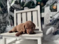 processed/0c3d916d-3e0e-40b5-b6ac-8c8a6751f8f6/listing/447a8e8d-74c4-4bec-b022-b119babb1a08/31485767-33aa-4344-9dfb-bcf5d3de9e79