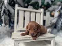 processed/0c3d916d-3e0e-40b5-b6ac-8c8a6751f8f6/listing/447a8e8d-74c4-4bec-b022-b119babb1a08/5e8bfa6a-0483-4b7b-b64e-4f0acfa001e9