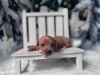 processed/0c3d916d-3e0e-40b5-b6ac-8c8a6751f8f6/listing/a33e6bf6-b52f-4f1b-aa88-91eae6ba3e43/57311a1a-b8c3-4fa3-a6be-ec83e4d5f8a6