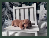 processed/0c3d916d-3e0e-40b5-b6ac-8c8a6751f8f6/listing/a33e6bf6-b52f-4f1b-aa88-91eae6ba3e43/b955bca1-1fb0-47b1-a209-1c1ed9b28035