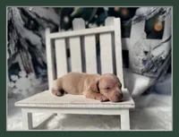 processed/0c3d916d-3e0e-40b5-b6ac-8c8a6751f8f6/listing/cd5e532f-30a8-443c-947f-7b9fc9cc49a0/2c5e38bd-f215-4592-83a5-537e81a9bf52