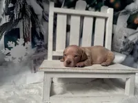 processed/0c3d916d-3e0e-40b5-b6ac-8c8a6751f8f6/listing/cd5e532f-30a8-443c-947f-7b9fc9cc49a0/f1d23959-07aa-4a2b-96b2-dfd6bd5e24ce