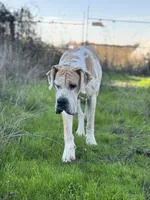 processed/0c3f6fd6-dc67-4b0e-bda5-8a6c2b12fbfe/facility/01c081db-1fa1-4bd7-9ce0-be511e1d6829