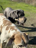 processed/0c3f6fd6-dc67-4b0e-bda5-8a6c2b12fbfe/facility/241f21f5-5bc7-4794-a138-a35f3bed94a2