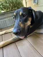 processed/0c3f6fd6-dc67-4b0e-bda5-8a6c2b12fbfe/facility/821cd9f4-50f3-4aed-9d3f-55015c296728