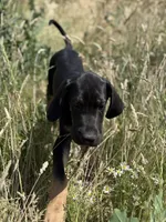 processed/0c3f6fd6-dc67-4b0e-bda5-8a6c2b12fbfe/facility/b5ac86f7-70e3-4d05-9e31-65339322ccde