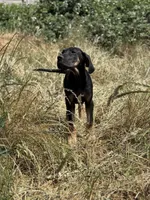 processed/0c3f6fd6-dc67-4b0e-bda5-8a6c2b12fbfe/facility/b93ecd2d-2585-4bdc-9b7e-2f8b7be4b679