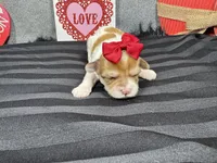 processed/0c404b3d-5619-4e88-8a87-1c29180c8378/listing/24ecfe2a-dcb0-4bc9-8534-2d4d953970e5/0108ce4c-ccf0-46d4-980e-f7ed2e50e760