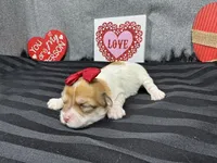 processed/0c404b3d-5619-4e88-8a87-1c29180c8378/listing/24ecfe2a-dcb0-4bc9-8534-2d4d953970e5/83603759-0e86-401a-b973-ac652df96bf5