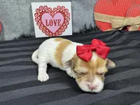 processed/0c404b3d-5619-4e88-8a87-1c29180c8378/listing/24ecfe2a-dcb0-4bc9-8534-2d4d953970e5/ac3a9258-524e-49f6-bc7b-ef252d923219