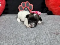 processed/0c404b3d-5619-4e88-8a87-1c29180c8378/listing/379d0da0-ad16-43b6-8eae-d0b804374cfc/6e1e21a7-88ad-4246-a6da-5b46ecc87899