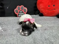 processed/0c404b3d-5619-4e88-8a87-1c29180c8378/listing/379d0da0-ad16-43b6-8eae-d0b804374cfc/cdcef76d-5f4a-41e2-b25c-952b92c76eeb