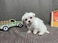 processed/0c404b3d-5619-4e88-8a87-1c29180c8378/listing/3b5c6d42-cdf8-49d5-81ab-626078ec9fe5/0f988ef9-aef9-40d4-b916-0f0a92a10ff6