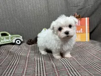 processed/0c404b3d-5619-4e88-8a87-1c29180c8378/listing/3b5c6d42-cdf8-49d5-81ab-626078ec9fe5/1aac191f-6575-4a2d-b3b5-9a6ad667a6a7