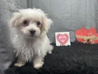 processed/0c404b3d-5619-4e88-8a87-1c29180c8378/listing/3b5c6d42-cdf8-49d5-81ab-626078ec9fe5/7c934a77-995f-4c0e-8b59-fc0672a219c1