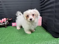 processed/0c404b3d-5619-4e88-8a87-1c29180c8378/listing/3b5c6d42-cdf8-49d5-81ab-626078ec9fe5/af2f2806-4262-462f-845a-3261d087a57d