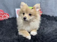 processed/0c404b3d-5619-4e88-8a87-1c29180c8378/listing/5bb9c6fa-2d3f-4202-bc9a-bc642f07be4d/419ded35-f12c-42ff-9b33-25139aaf323a