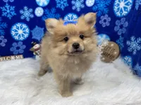 processed/0c404b3d-5619-4e88-8a87-1c29180c8378/listing/5bb9c6fa-2d3f-4202-bc9a-bc642f07be4d/56403691-85df-40e4-b2e2-2fc0036e1233