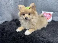 processed/0c404b3d-5619-4e88-8a87-1c29180c8378/listing/5bb9c6fa-2d3f-4202-bc9a-bc642f07be4d/84ddd4b1-c9d6-410c-a48b-ed964e83fb38