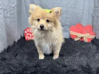 processed/0c404b3d-5619-4e88-8a87-1c29180c8378/listing/5bb9c6fa-2d3f-4202-bc9a-bc642f07be4d/857ce132-7797-4848-a9ad-b7d2fa40f209